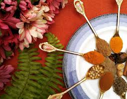 bumbu pencegah demam