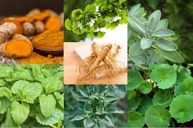 Obat alami