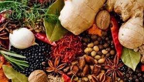 Obat rempah rempah