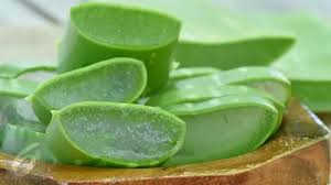 vitamin lidah buaya